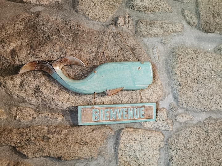Maison De Caractère Au Calme, Loctudy - Lesconil - Bretagne