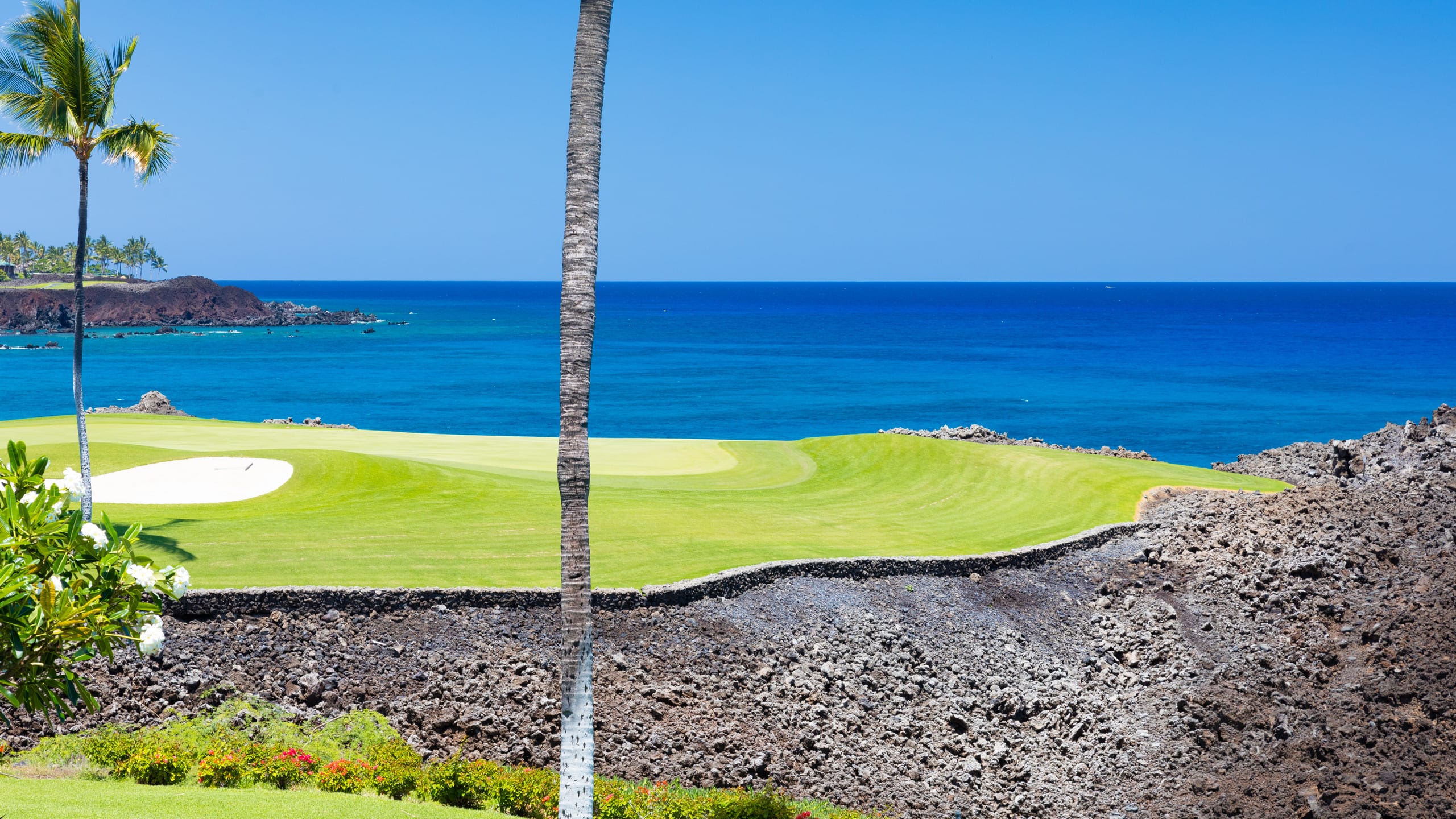 Home in Waimea · ★4.75 · 4 bedrooms · 7 beds · 4.5 baths - Image 26