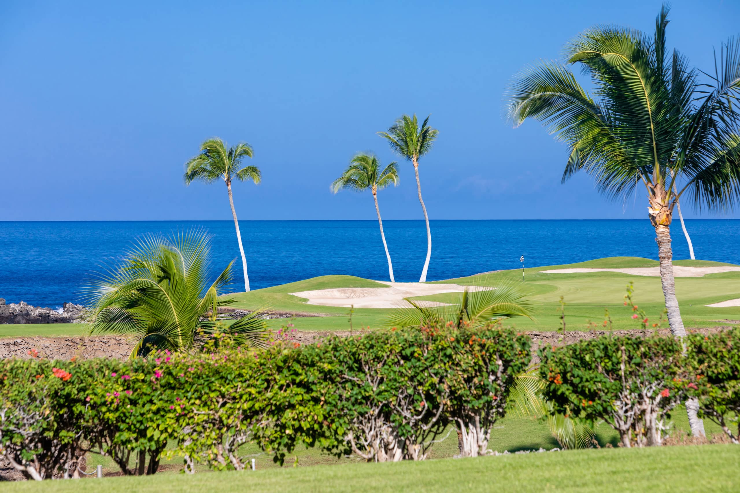Home in Waimea · ★4.75 · 4 bedrooms · 7 beds · 4.5 baths - Image 33
