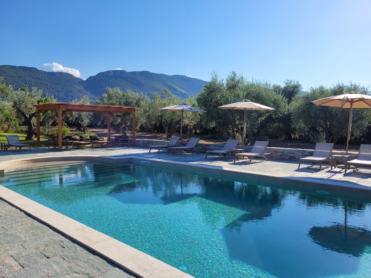 A serene swimming pool is surrounded by olive trees, with sun loungers positioned nearby. Shade is provided by umbrellas, and a wooden pergola is visible in the background. The clear water reflects the bright sunlight, creating a tranquil and inviting atmosphere.