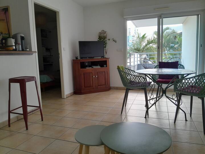 Beau T2, Centre-ville, éQuipé Wifi, Calme, Parking - Saint-Denis