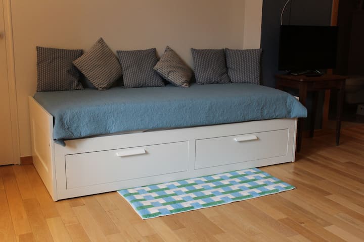 Chambre Spacieuse Tout Confort-10 Min De Paris Cdg - Plailly