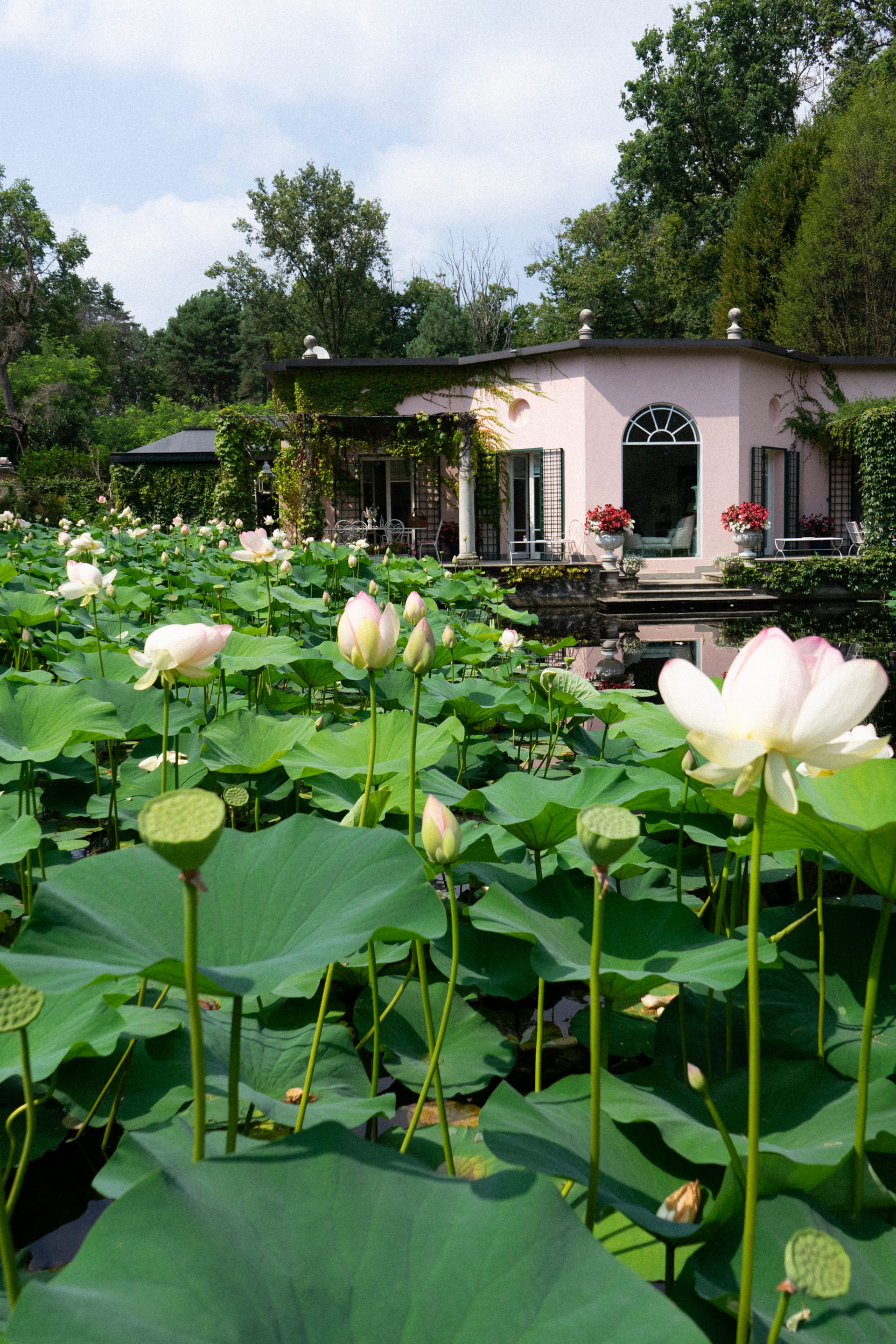 La Foleia and its private lake. Villa Ottagonale