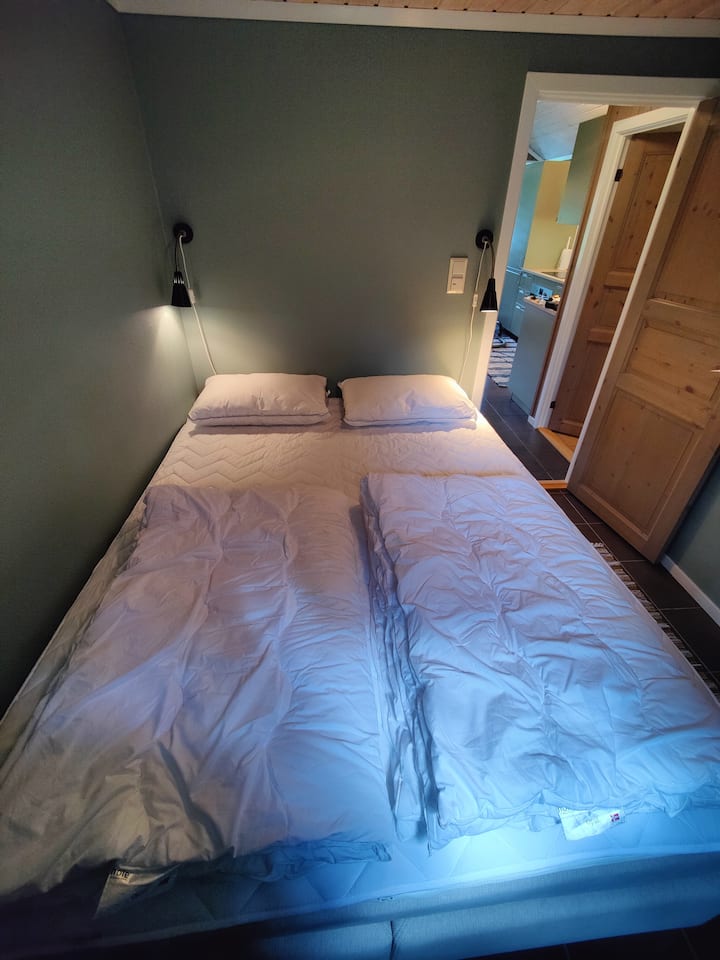 საძინებელი 1