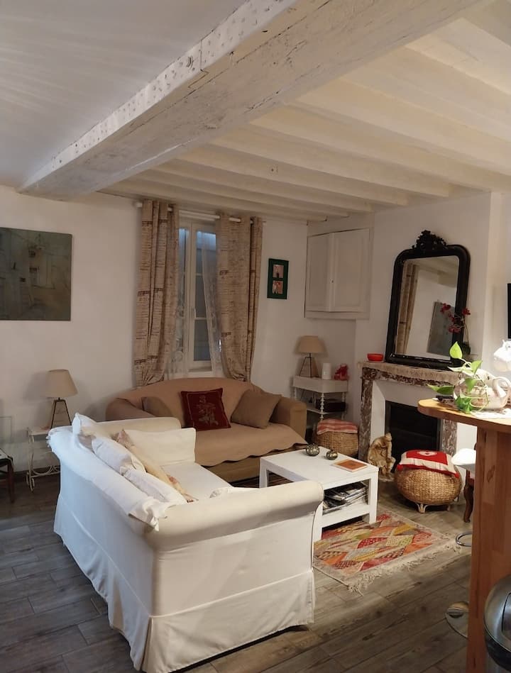 Aux Portes De Chambord. Gîte 8/10 Personnes - Loir-et-Cher