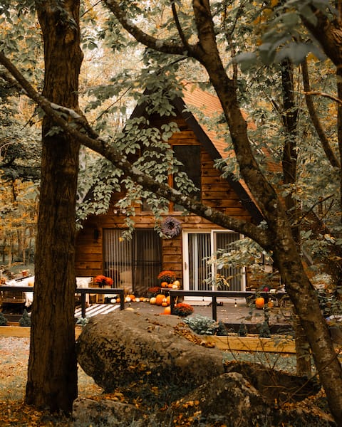 Mid-century A-frame nestled amongst the trees