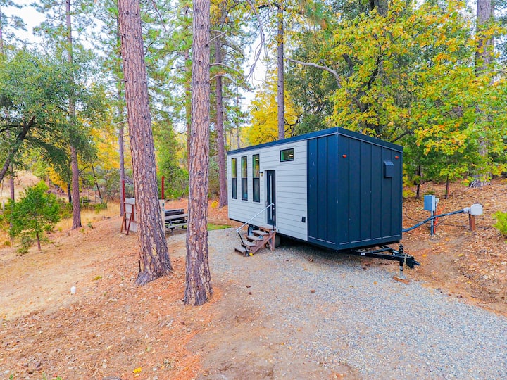 Corner Of The World: Tiny Home Getaway - Bass Lake, CA