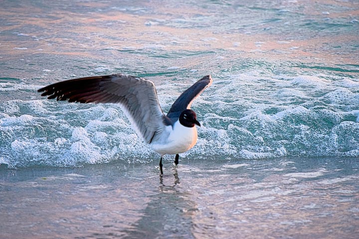 The Warm Mineral Springs Retreat - North Port, FL