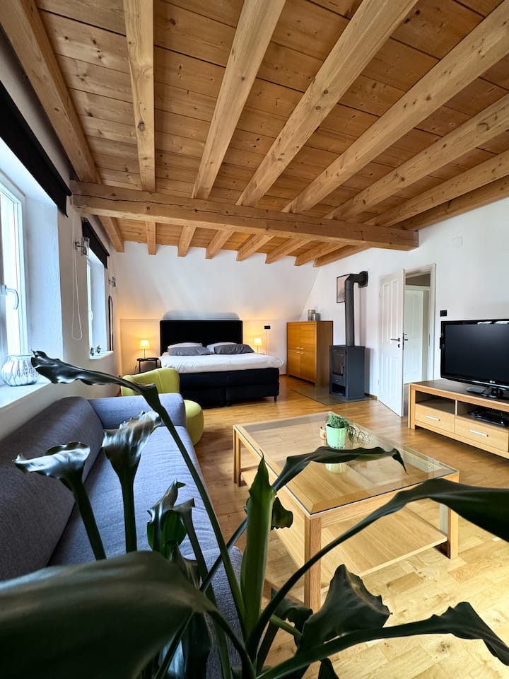 Big bedroom with couch