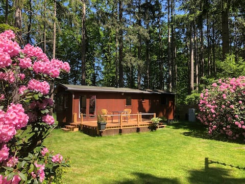 Lovely chalet in Lochem, with outside in the forest