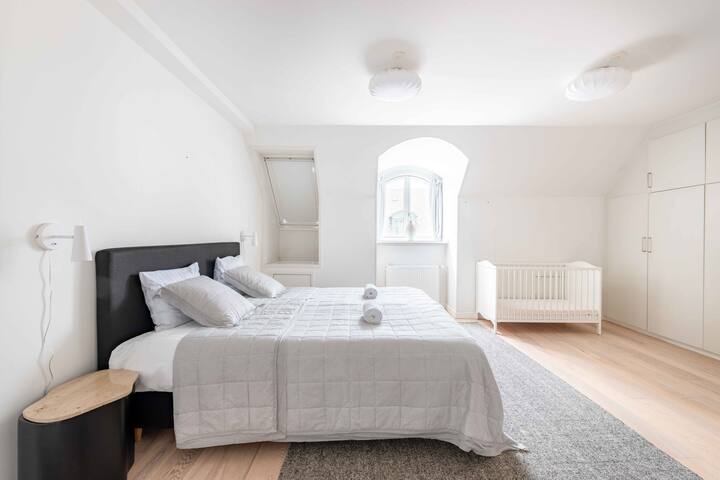 Large Apartment in Copenhagen City close to Tivoli gallery image 2