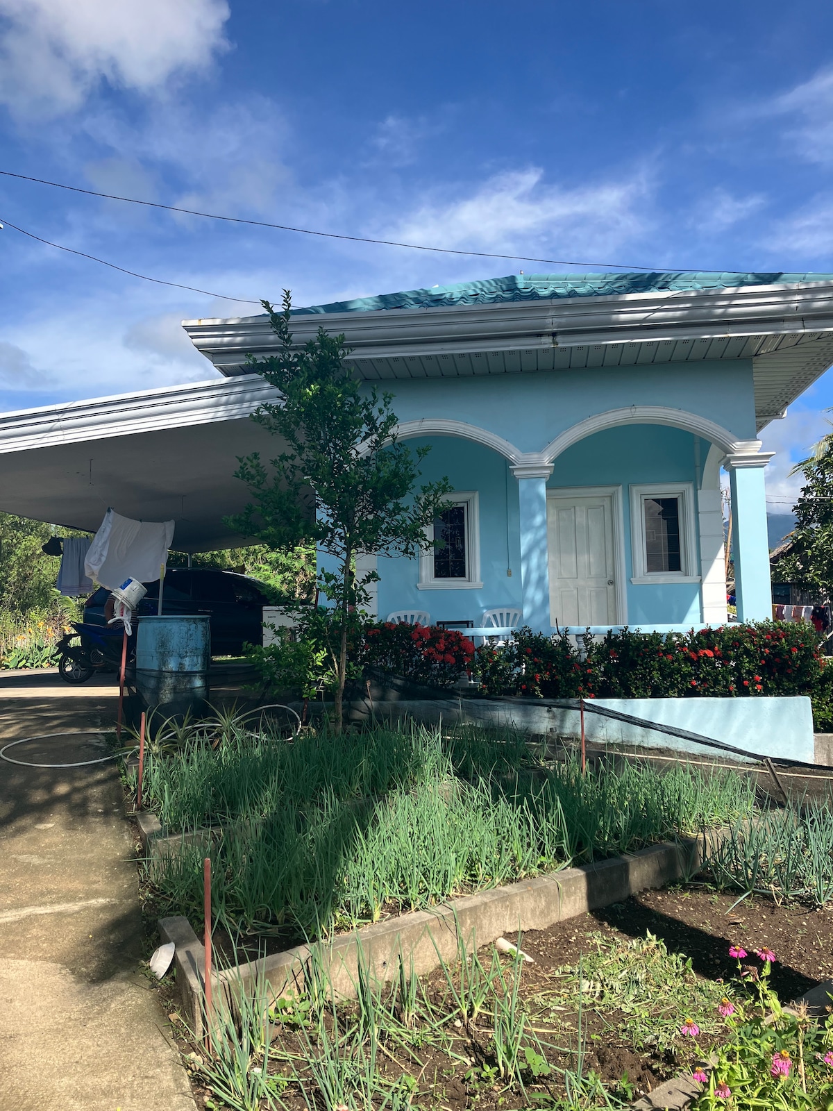 A charming studio unit with a light blue exterior is seen under a covered parking space. Surrounding garden beds are filled with greenery, while flowering plants add color. The driveway is paved, leading to the entrance which features arched windows and a white door.