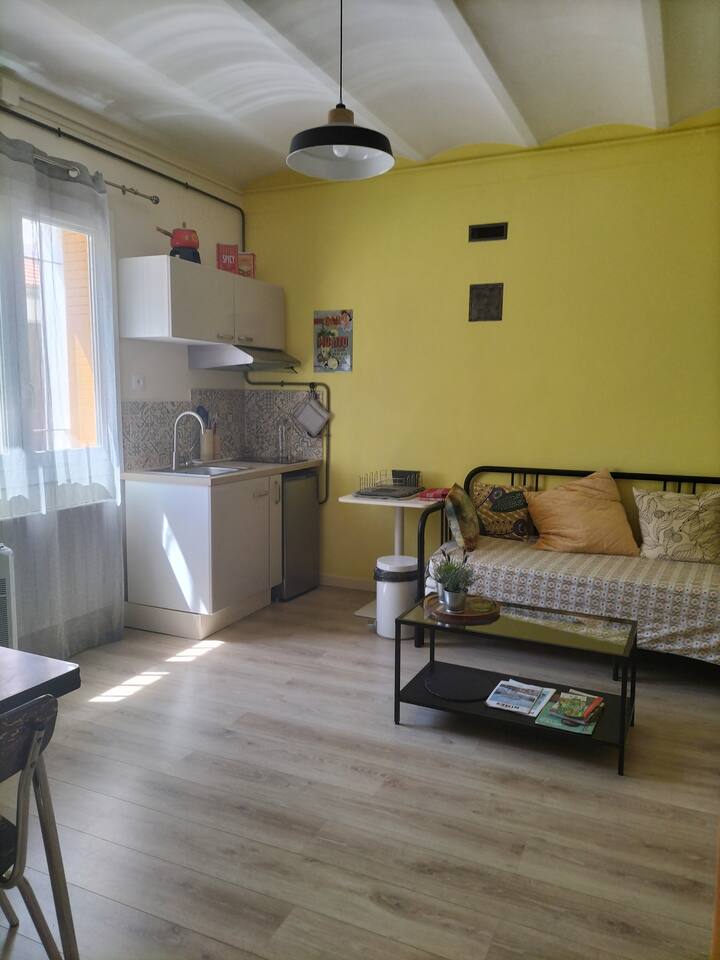 Appartement Indépendant Avec Cour Proche Centre - Nîmes