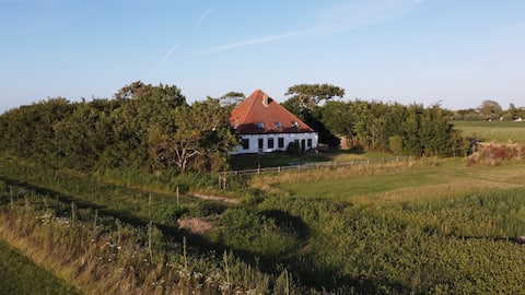 Vacation home on the Wadden Sea (Texel)
