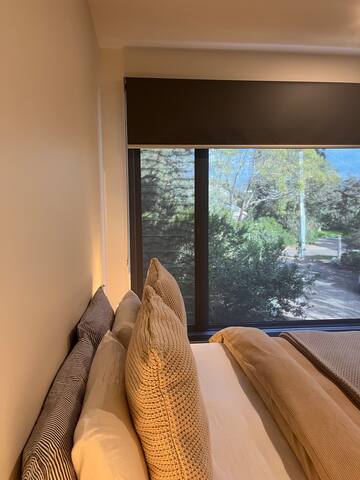 Timbarra treetops gallery image 3