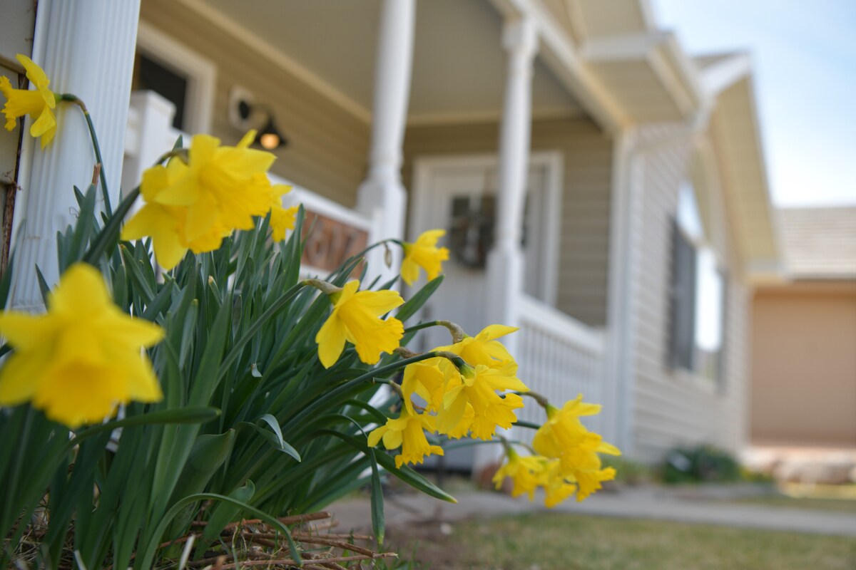 A close view of vibrant yellow daffodils growing in the foreground, with a welcoming porch and entrance of a well-maintained house in the background. The flowers add a pop of color to the serene setting, enhancing the charm of the property.