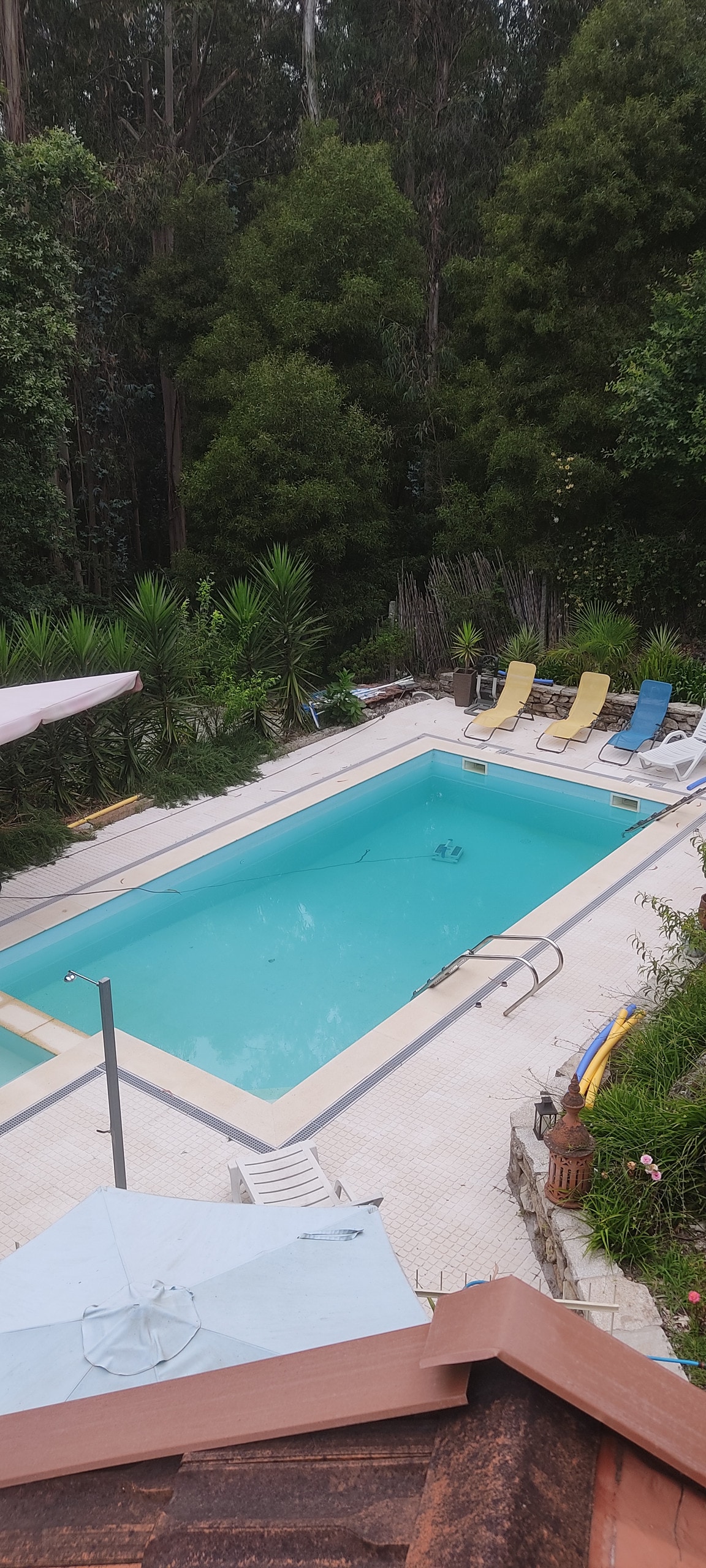 A well-maintained pool area is surrounded by lush greenery. Multiple lounge chairs, in yellow and blue, are positioned around the pool. Sun umbrellas provide shade, and a small table is visible. The pool's clear water invites relaxation and enjoyment.