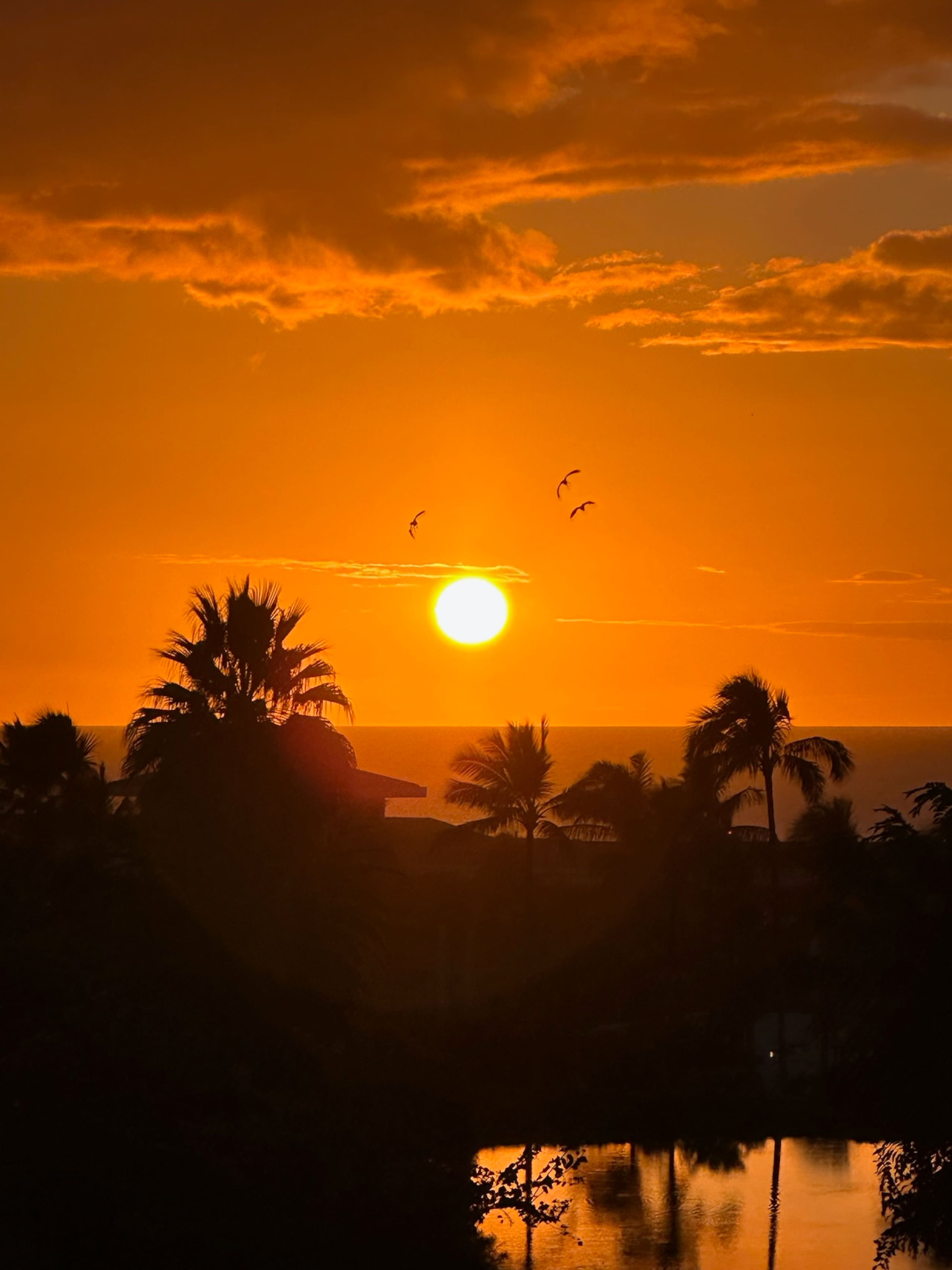 Sweeping Ocean Views • Beach Access • Powerful AC - Image 28
