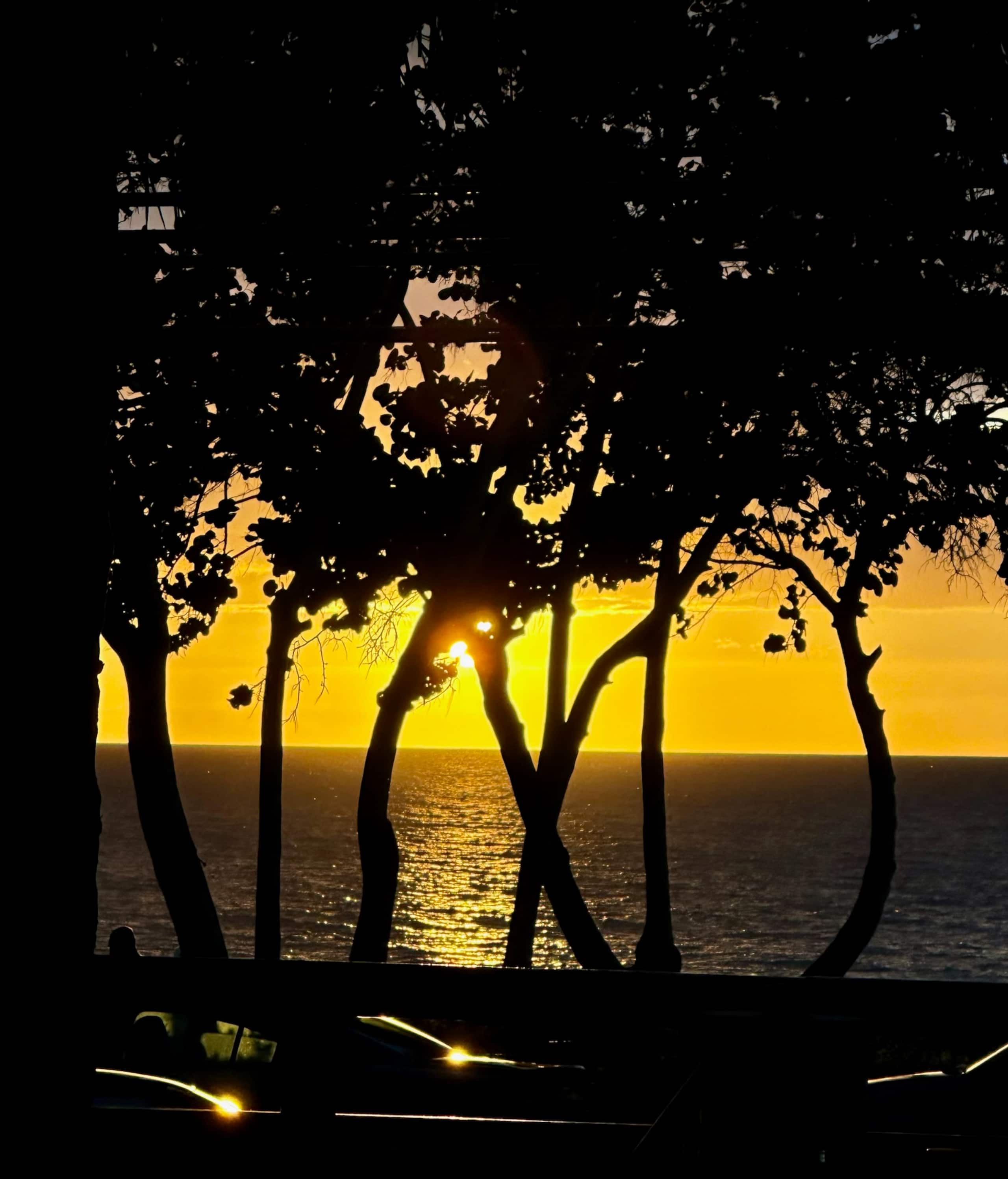 Sweeping Ocean Views • Beach Access • Powerful AC - Image 27