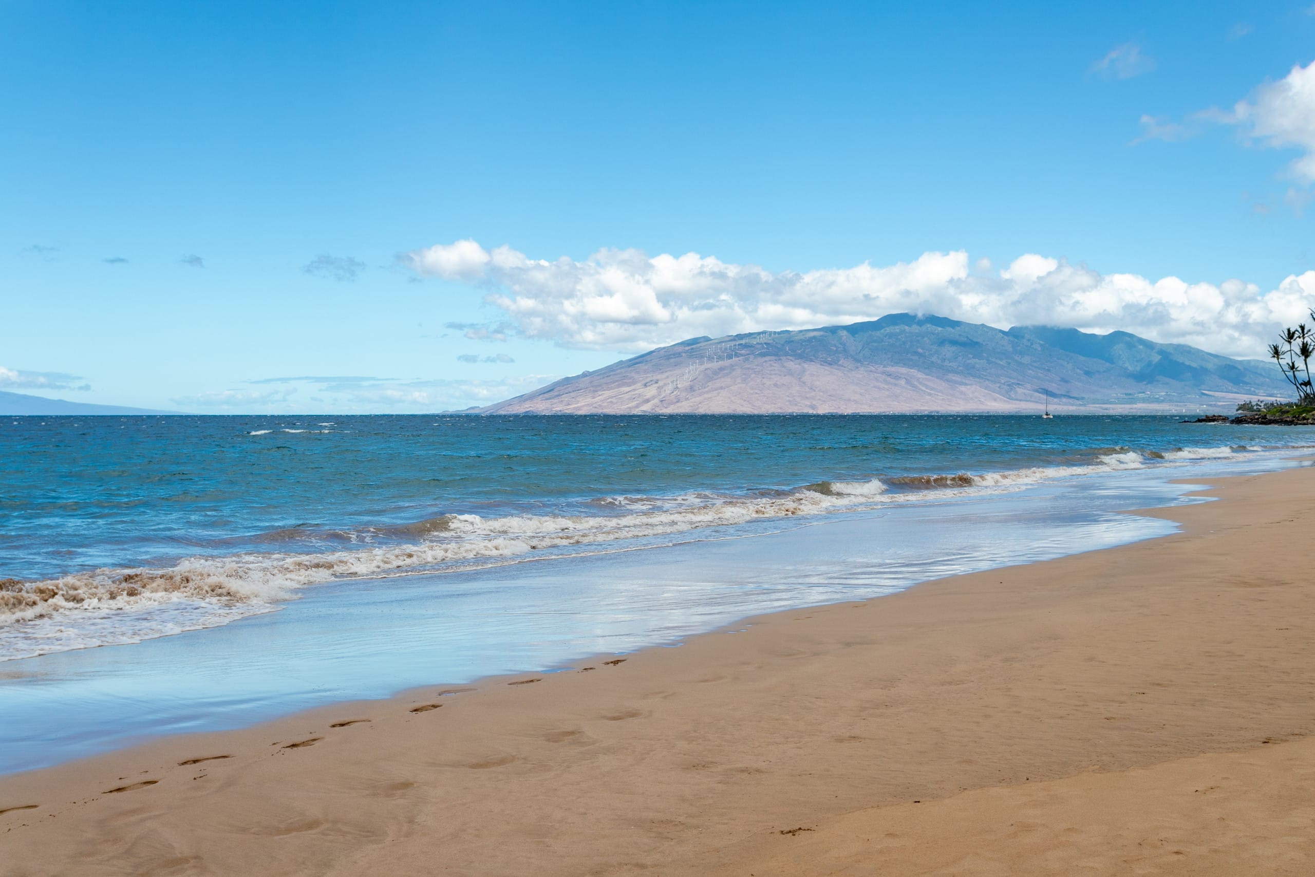 Sweeping Ocean Views • Beach Access • Powerful AC - Image 34