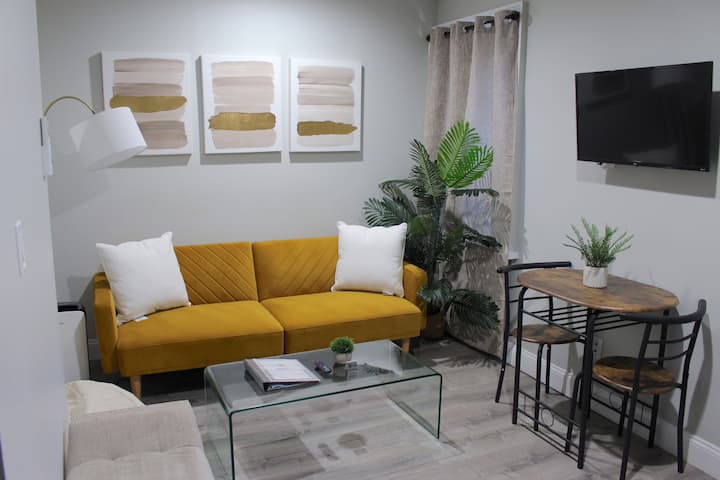 2 Bedroom / 1 Bath Trendy Apt Downtown Albany - Albany, NY