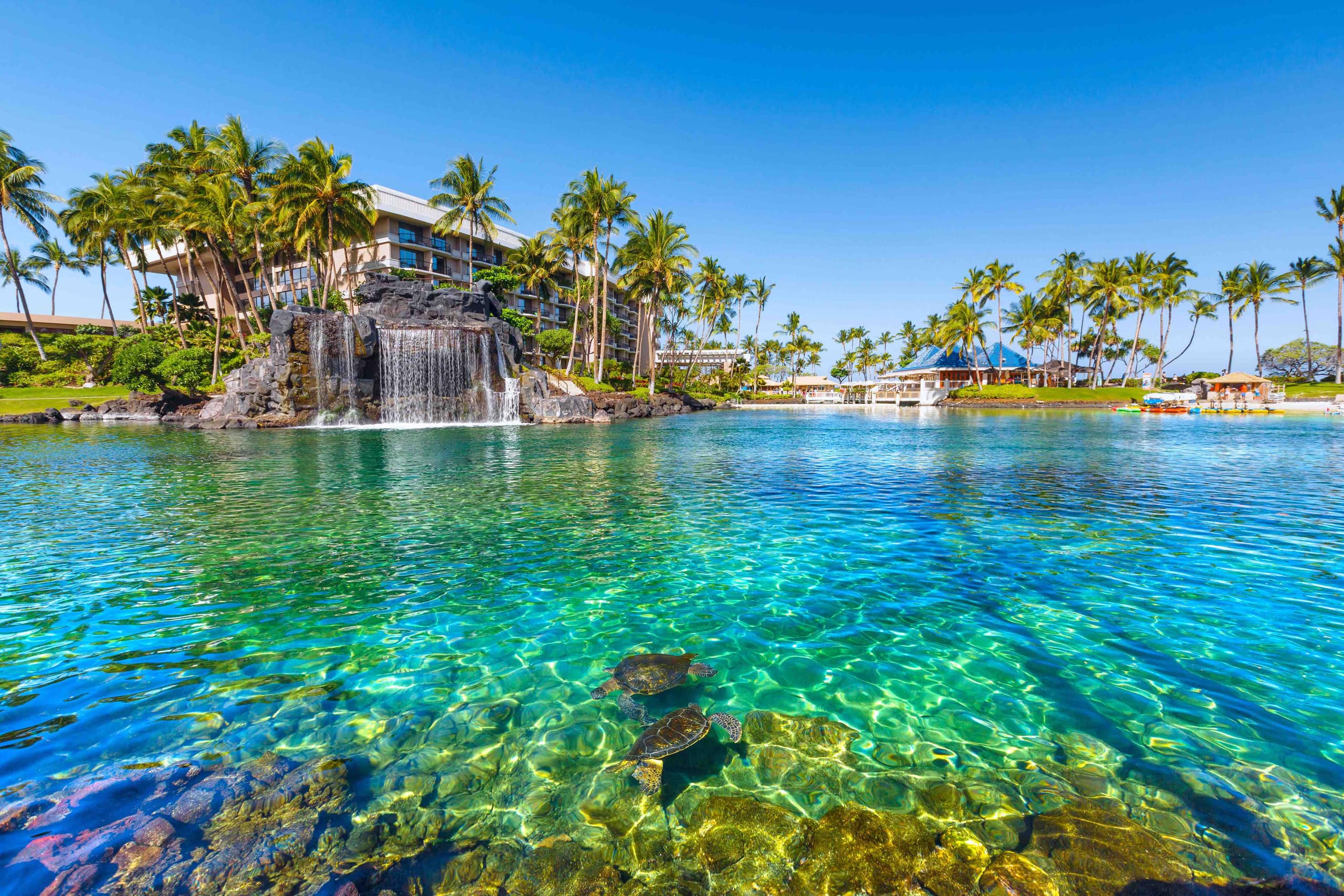 Home in Waimea · ★4.97 · 4 bedrooms · 6 beds · 3.5 baths - Image 16