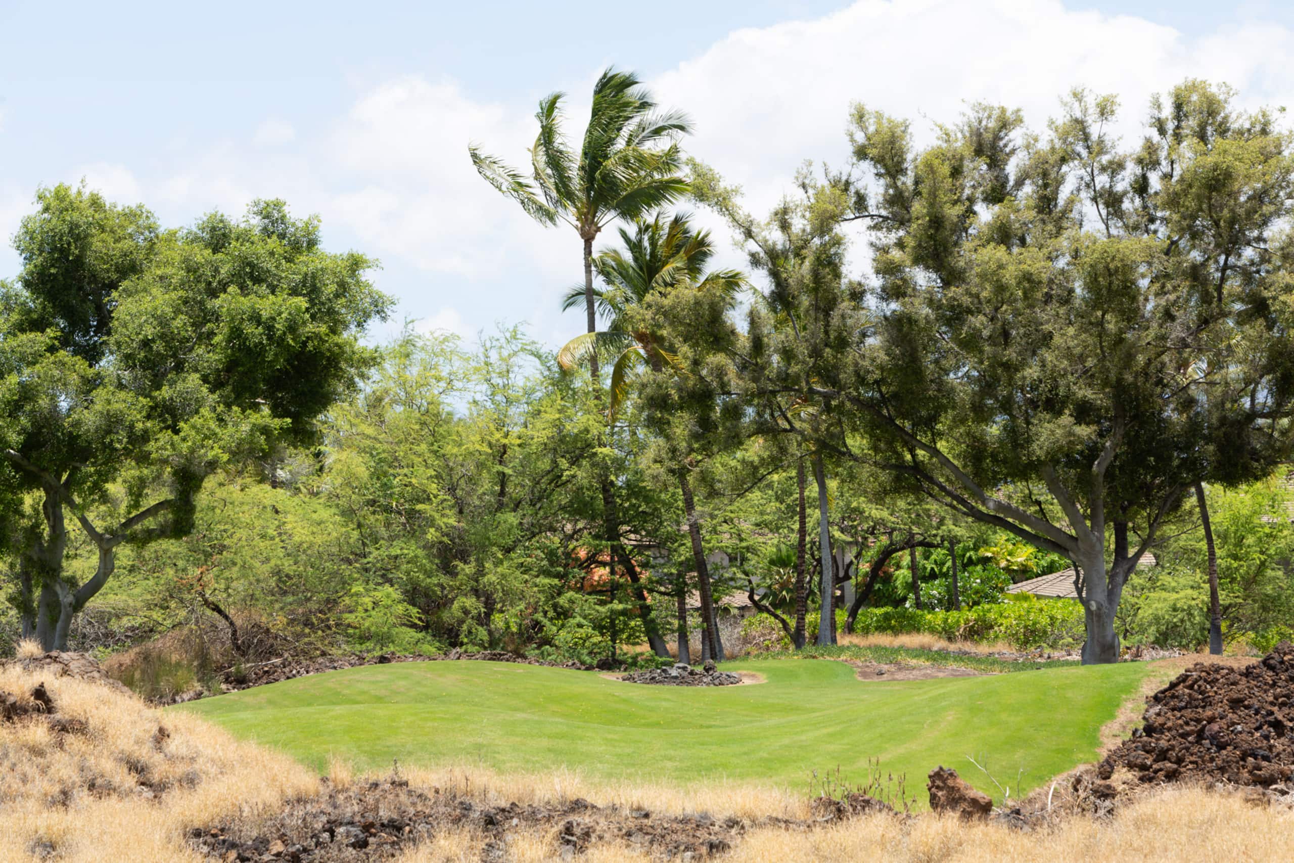 Home in Waimea · ★4.71 · 3 bedrooms · 4 beds · 3.5 baths - Image 56
