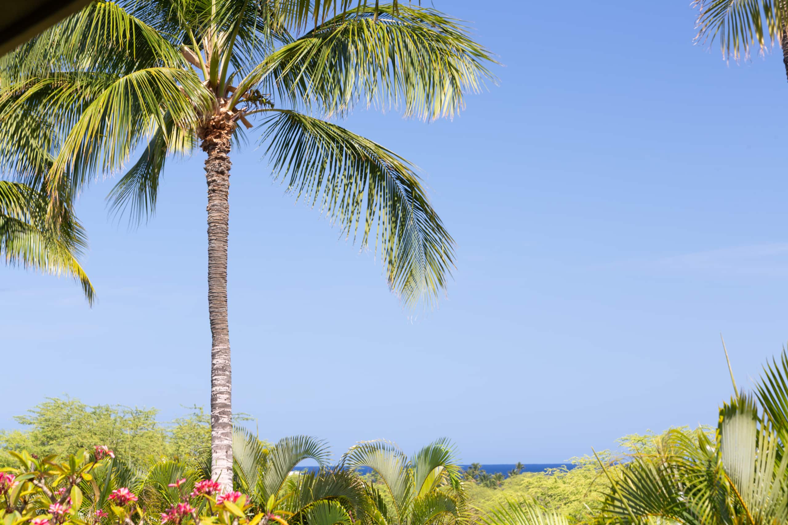 Home in Waimea · ★4.71 · 3 bedrooms · 4 beds · 3.5 baths - Image 59