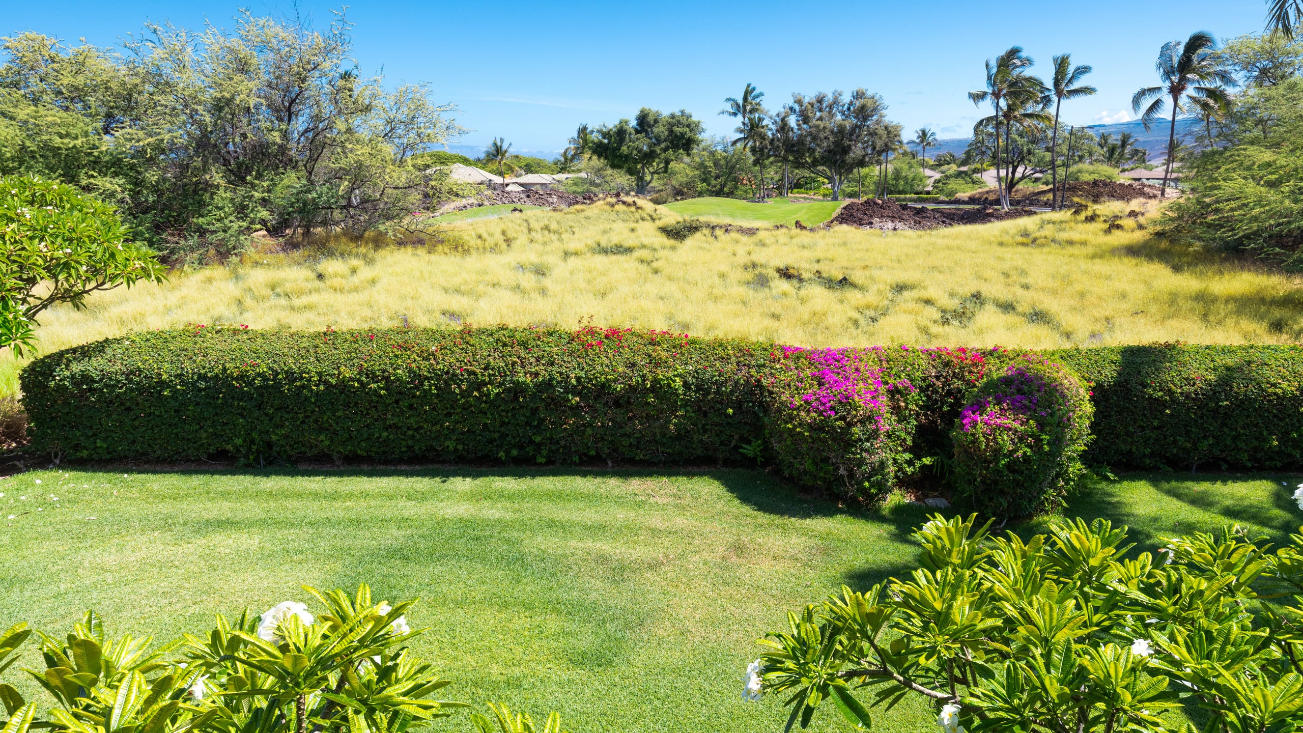 Home in Waimea · ★4.71 · 3 bedrooms · 4 beds · 3.5 baths - Image 28