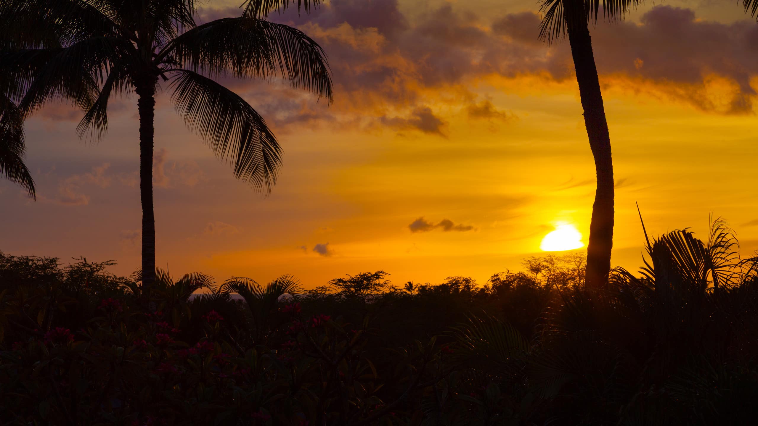 Home in Waimea · ★4.71 · 3 bedrooms · 4 beds · 3.5 baths - Image 57