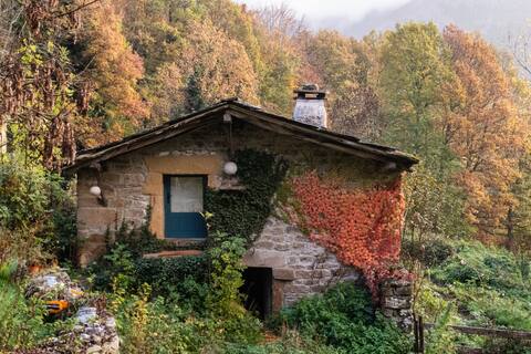 A nest in the mountains