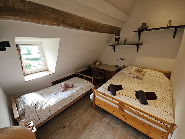 Habitación 4
