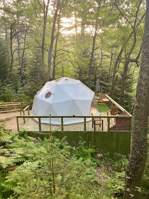 Luxury Glamping Experience in Nature wth Lake View