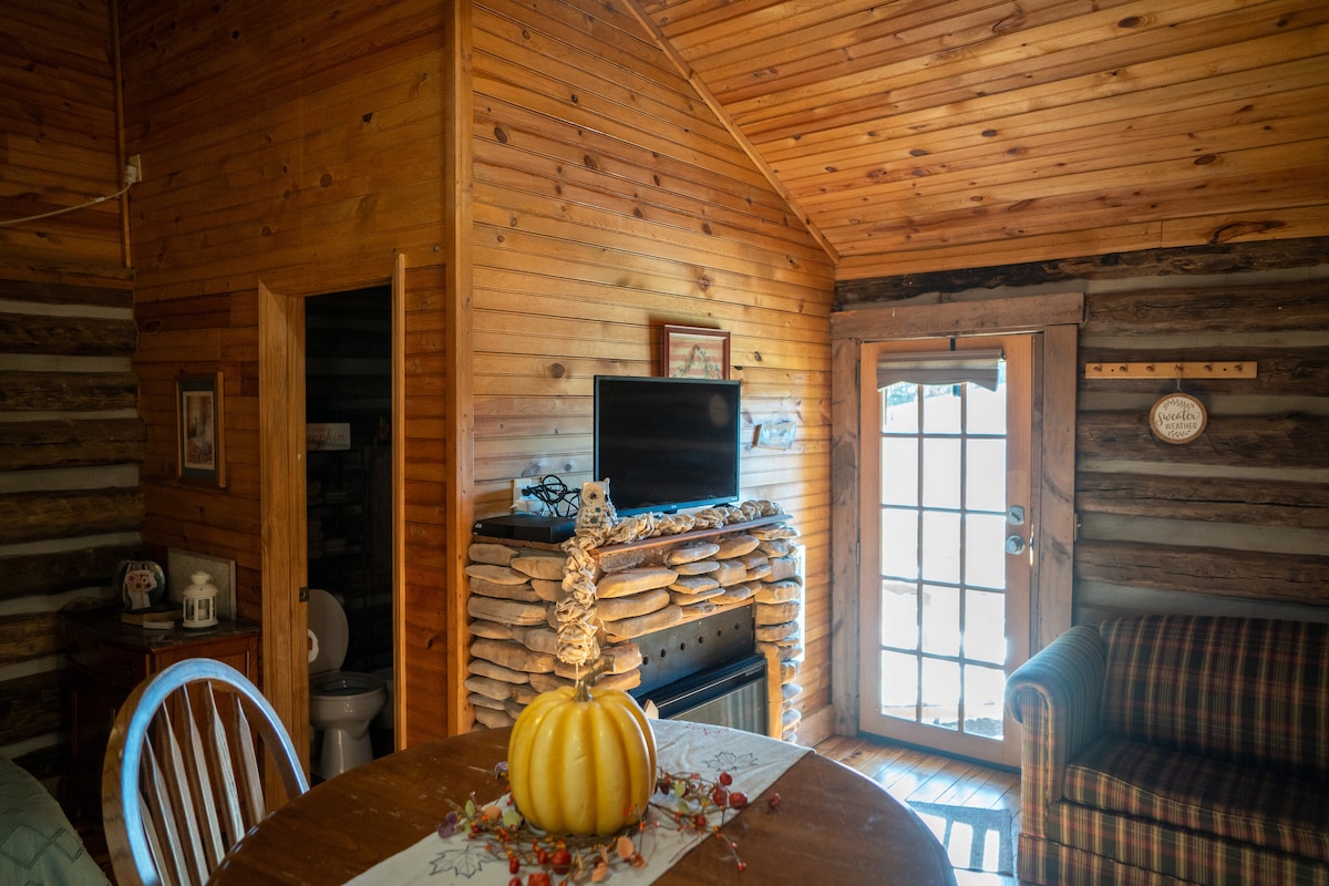 A rustic cabin interior is highlighted by wooden walls and a cathedral wooden ceiling. A dining table is set with a decorative pumpkin and autumn leaves. A small television sits on a stone fireplace, and a seating area with a plaid sofa is visible beside glass doors leading outside.