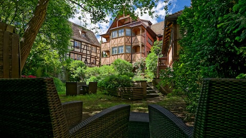 On the historical rampart of 1291 & vineyard view.