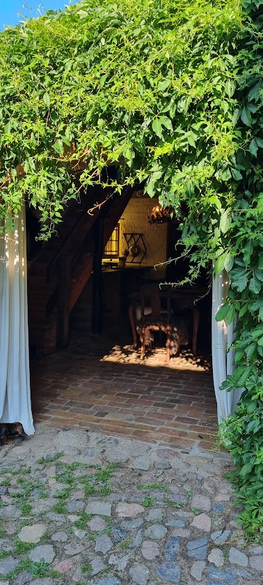An inviting entrance is framed by lush green vines, leading to a pathway of rustic bricks. A wooden table and chairs are visible through the entrance, offering a glimpse into the warm, cozy interior of the structure.