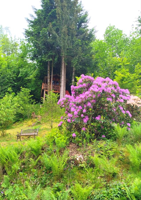 The Farmhouse in the Heart of the Vosges Forest