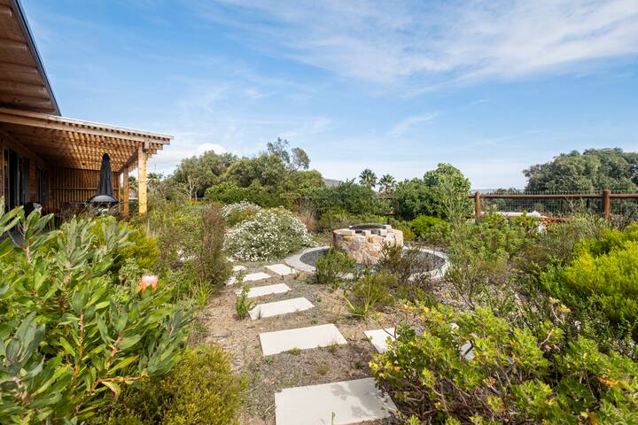 Longbeach sunsets gallery image 2