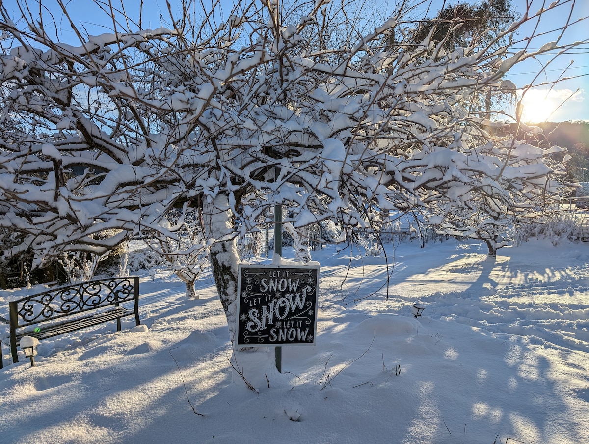 A snow-covered outdoor area is framed by trees blanketed in white. A playful sign reading 'Let it Snow' stands next to a wrought-iron bench, inviting relaxation. Soft sunlight filters through the branches, creating a serene winter landscape.