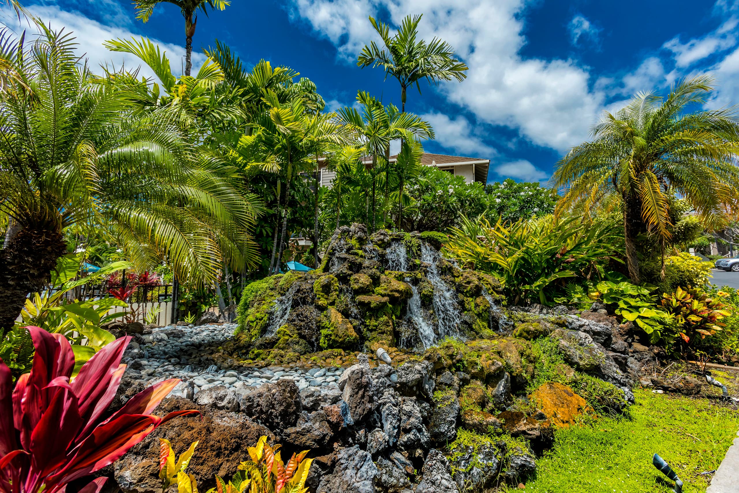 Condo in Kihei · ★4.91 · 2 bedrooms · 3 beds · 2 baths - Image 40