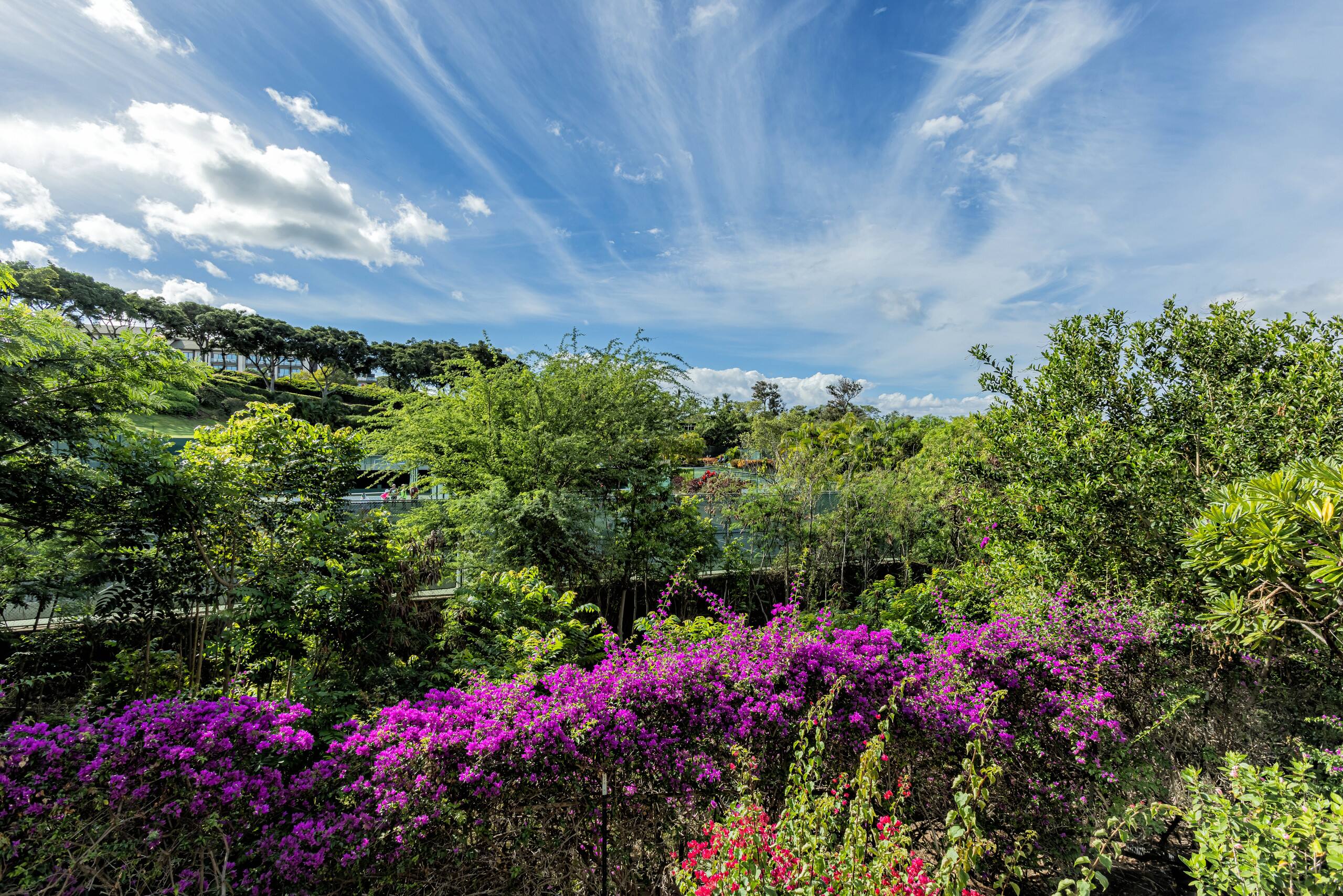 Condo in Kihei · ★4.91 · 2 bedrooms · 3 beds · 2 baths - Image 37