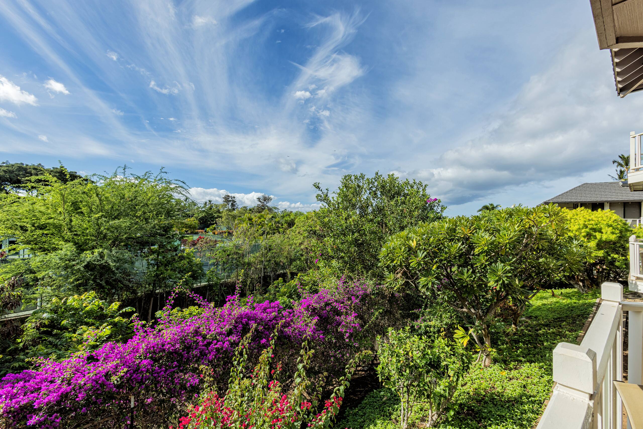 Condo in Kihei · ★4.91 · 2 bedrooms · 3 beds · 2 baths - Image 38