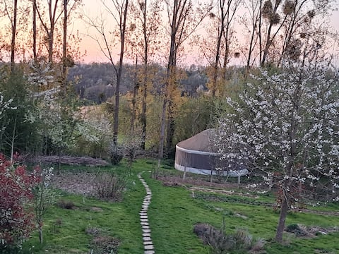 The yurt at the bottom of the garden