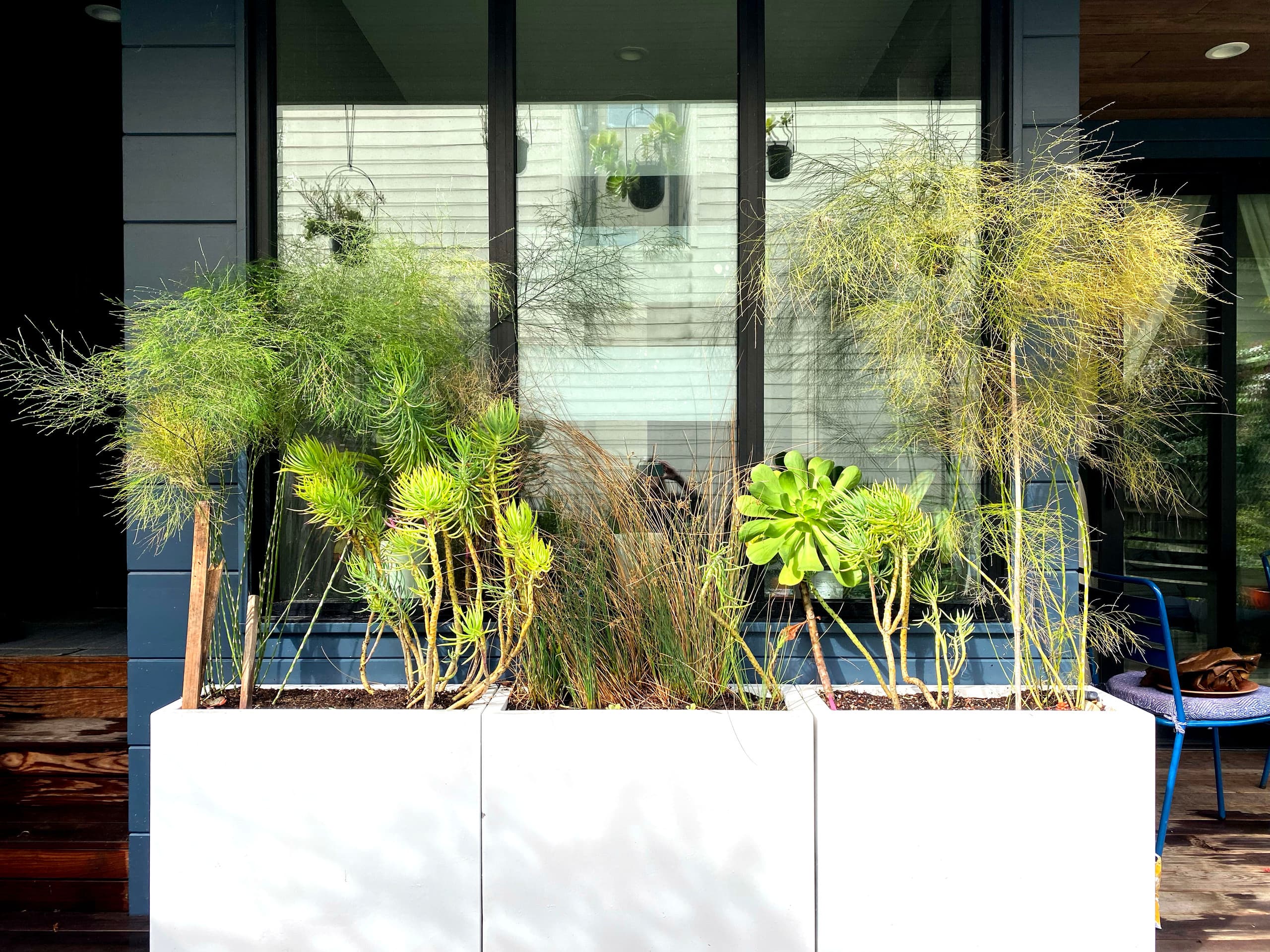 Home in San Francisco · ★5.0 · 3 bedrooms · 4 beds · 2 baths - Image 15