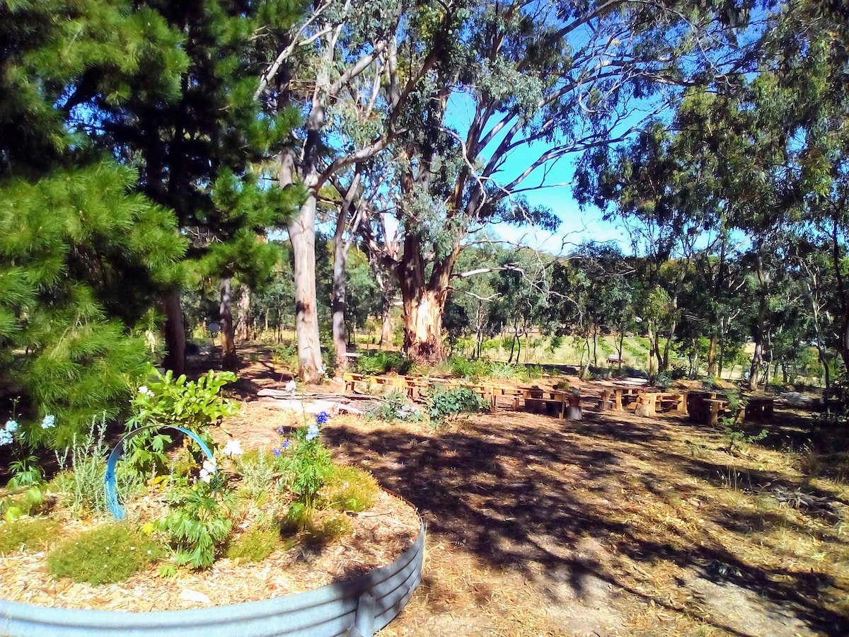 Mill About Vineyard