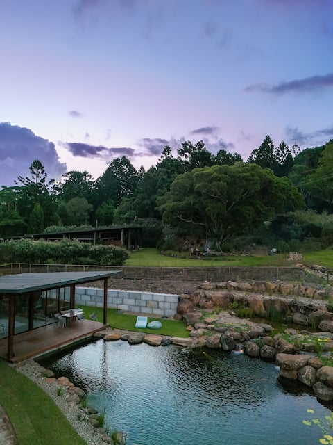 Luxury Home: natural pool, fire pit, fig trees
