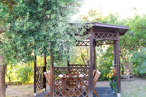 Villa del Pino, sleeps 13, 10 minutes from the sea