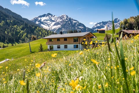 Leistungsstarkes Airbnb: Panoramic apartment with beautiful mountain views in Mittelberg