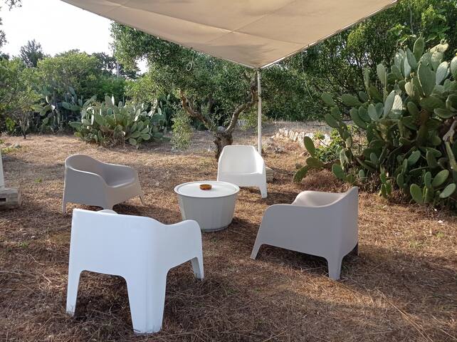 La Vita a Cono, Casa vacanze gallery image 5