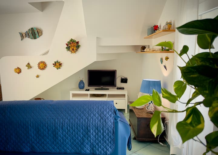 Villa En Bord De Mer Avec Jardin Privé - Cetraro